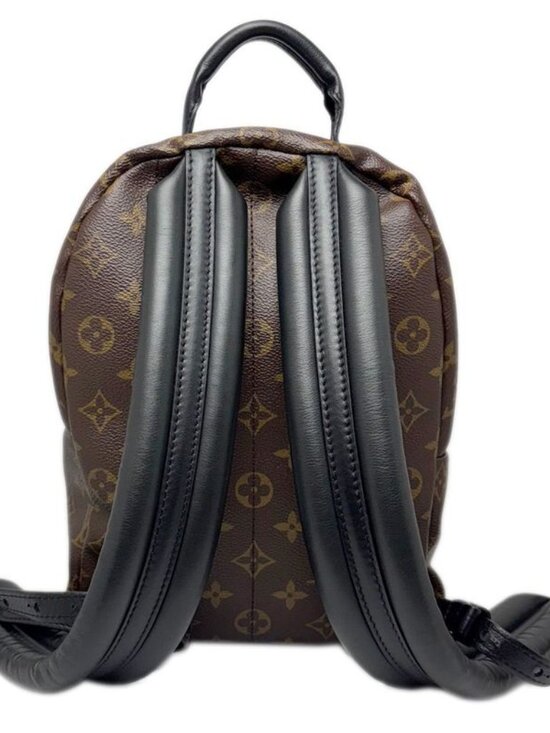 Louis Vuitton Backpack Monogram Palm Spring PM main image 10